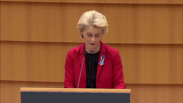 Ucraina, von der Leyen: "Putin lasci andare le navi col grano ferme nel Mar Nero"