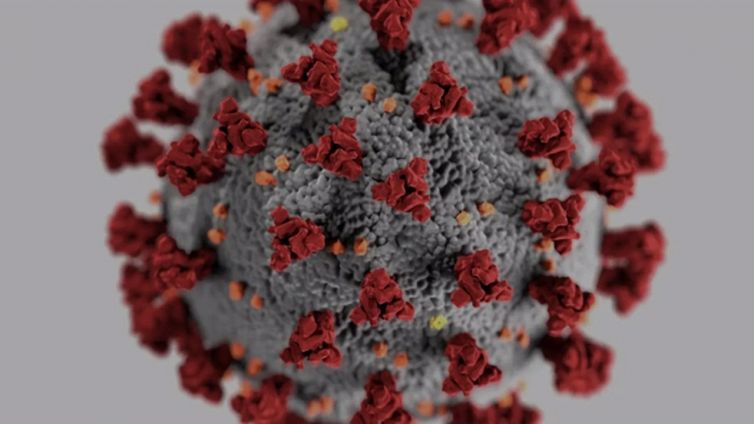 Omicron 2, la previsione per il prossimo inverno