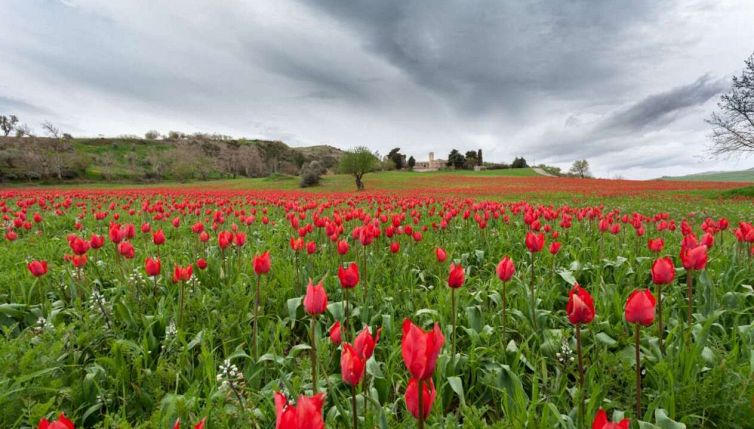 Blufi, il piccolo borgo siciliano in cui sembra di stare in Olanda