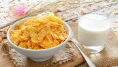 Dieta, mangi cereali a colazione? Non sembrerebbe una buona idea