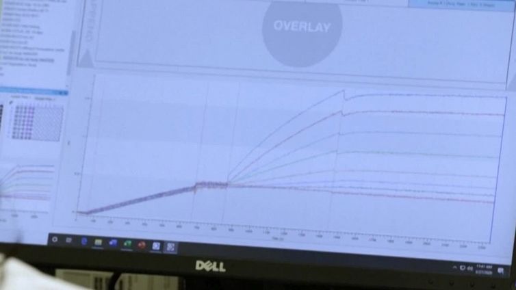 Genetica, cellule umane della pelle ringiovanite di 30 anni