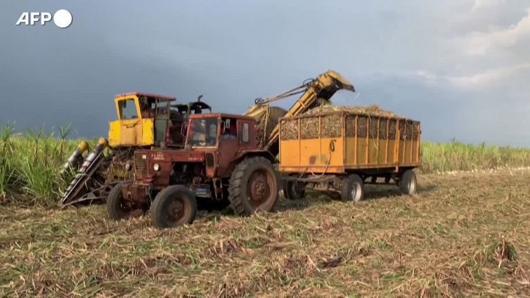 Ucraina, Fao: livelli record per i prezzi alimentari a marzo
