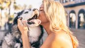Baciare il tuo cane può farti stare male, lo dice la scienza