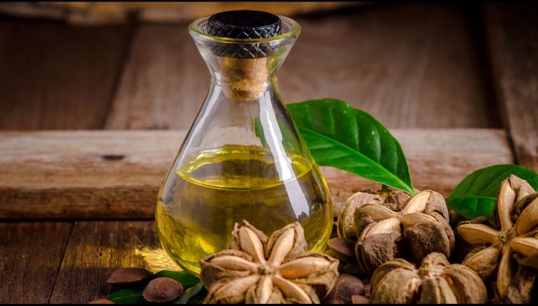 Arachide inca, un'alleata per ridurre il colesterolo