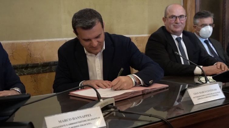 Tabacco, accordo ministero Agricoltura-Philip Morris per sostenere la filiera