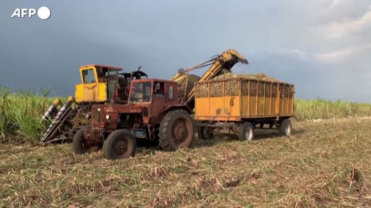 Ucraina: carenza di cibo minaccia Paesi piu' poveri