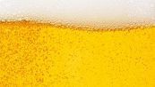 7 cose che non sapevi sulla birra