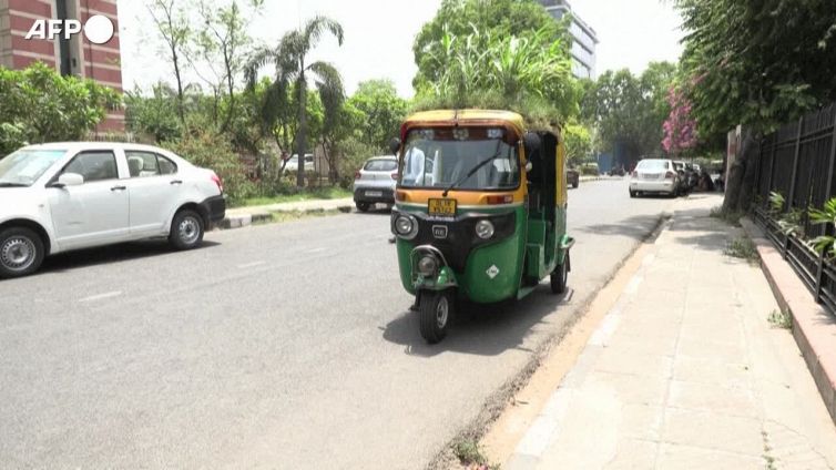 India, un giardino sul tetto del riscio' per combattere il caldo