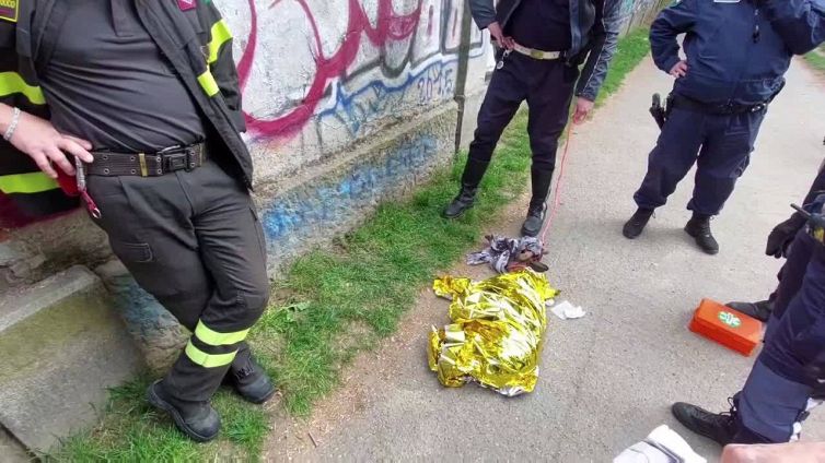 In difficolta' nel fiume Po, capriolo salvato a Torino