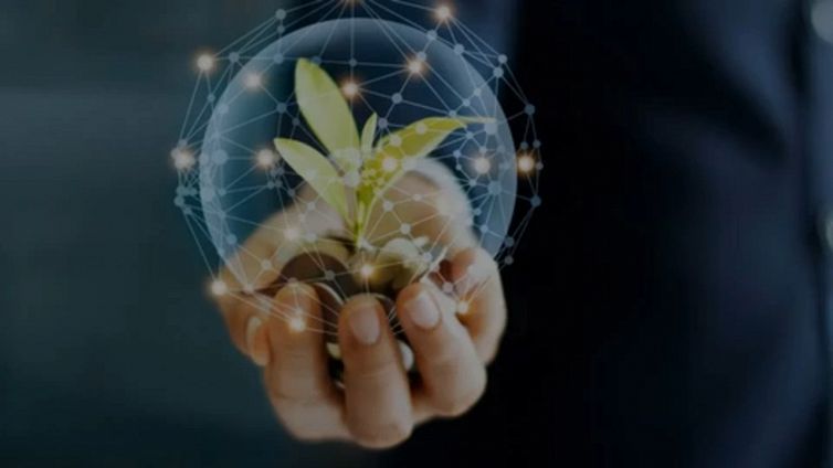 PMI, quali tecnologie sono valide per chiedere gli aiuti green