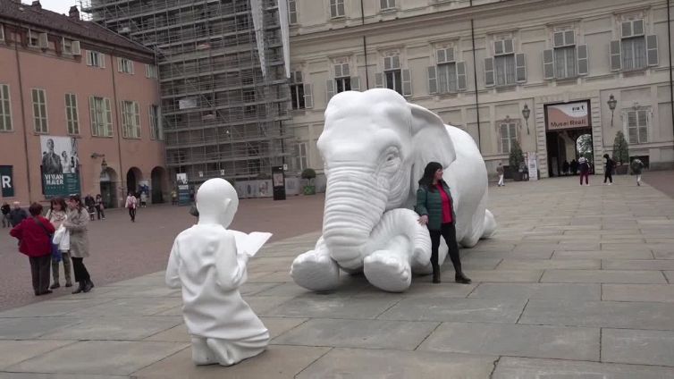 Torino, i Musei Reali diventano uno zoo d'arte all'aperto