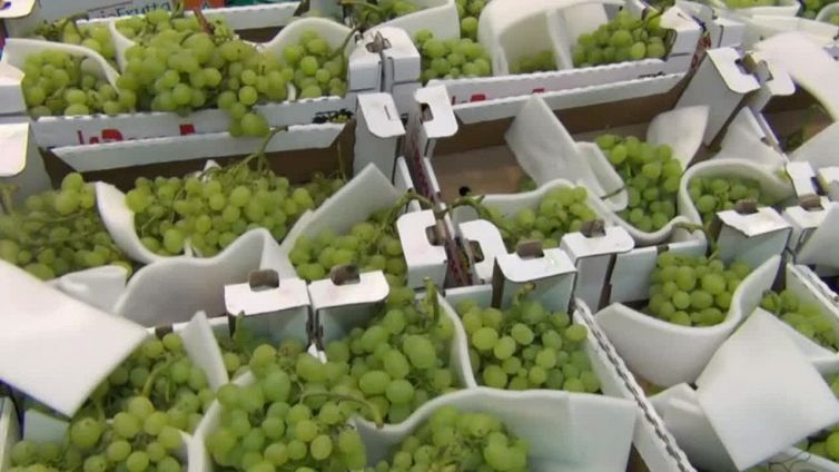 Ortofrutta traina il Made in Italy, export da record