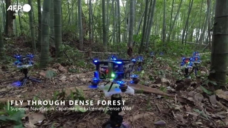 Primo sciame di droni smart in volo autonomo in una foresta