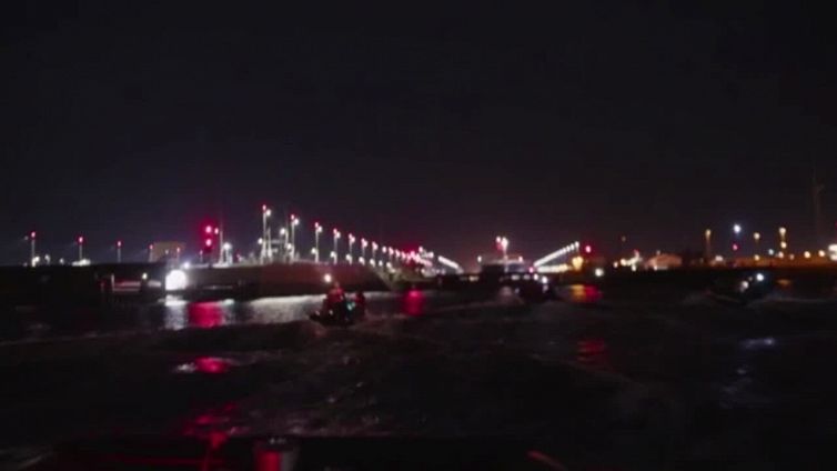 Greenpeace blocca una nave carica di soia destinata a diventare mangimi per allevamenti