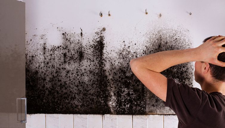 Muffa in casa? Rimedio naturale per toglierla in 30 minuti