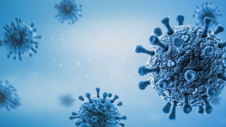 Vaiolo delle scimmie in Italia, cosa devi sapere