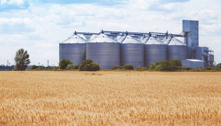 Crisi del grano, quali Paesi rischiano di restare senza