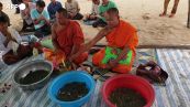 Cambogia, rilasciati nel fiume cuccioli di tartaruga gigante in via di estinzione