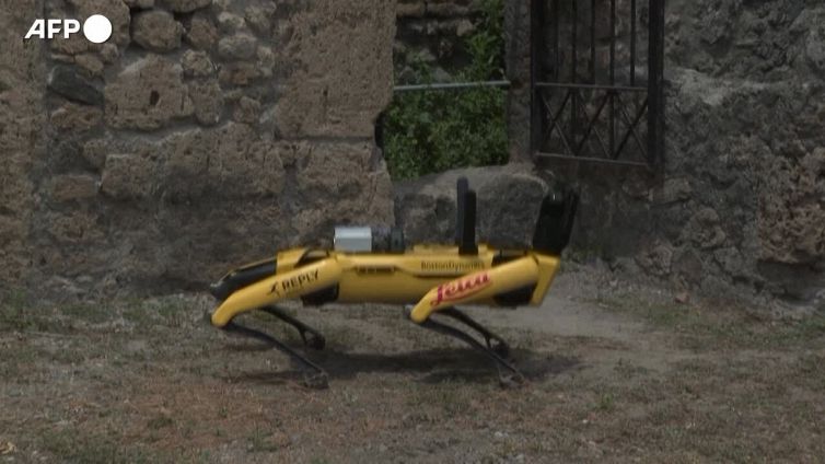 Pompei, un cane robot portera' alla luce nuovi segreti archeologici