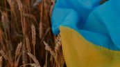 Crisi del grano, l’Europa ha una possibile soluzione: i dettagli