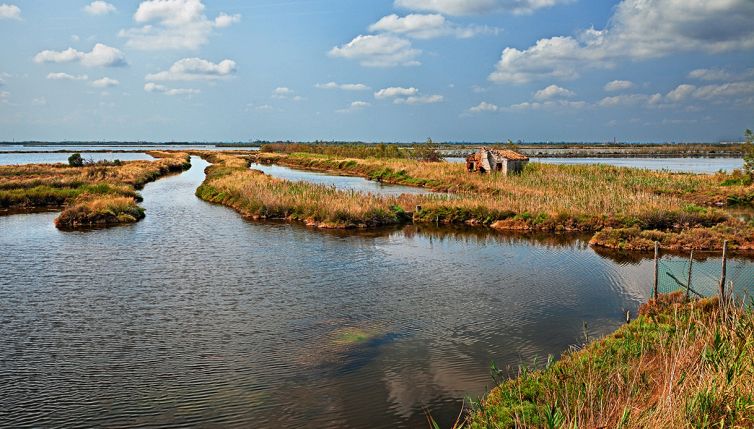 Italia, il dramma del fiume Po e del Tevere: non si era mai visto