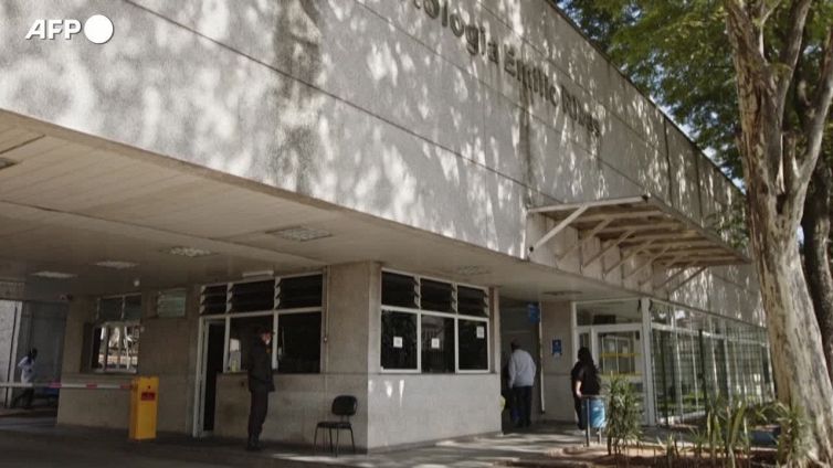 Vaiolo scimmie: Oms valuta emergenza internazionale