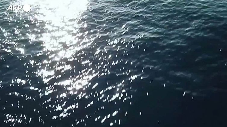 Tall ships verso Santiago di Compostela, prima tappa a Genova