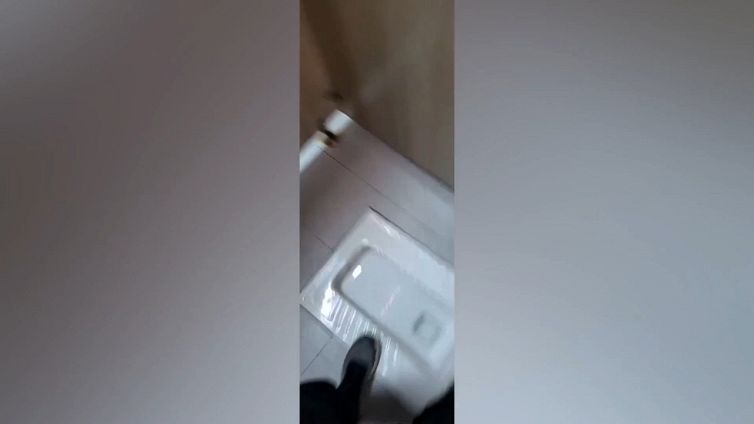 Incredibile: è alla toilette quando spunta la tigre