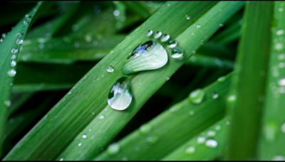 Impronta idrica: cos'è e perché è utile contro la siccità