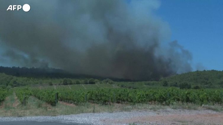 Francia, un incendio devasta mille ettari sul lato orientale dei Pirenei