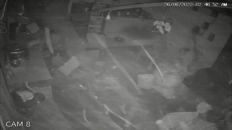 Aiuto: in cucina irrompe l'ospite indesiderato