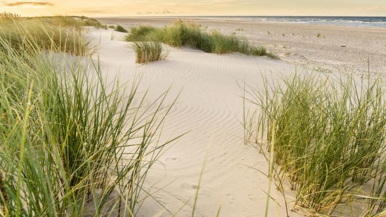 Spiagge libere, diritti e doveri: tutto quello che c'è da sapere