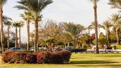 Sharm El Sheikh, un bimbo italiano muore in hotel
