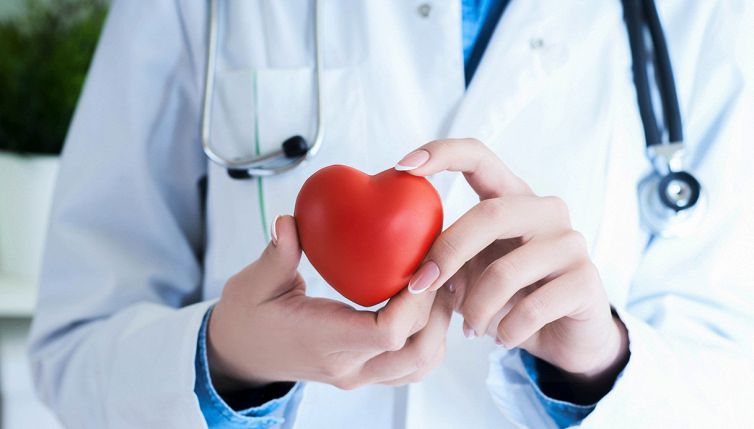 Infarto, veleno di questo ragno potrebbe evitare danni al cuore