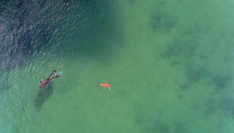 C'è qualcosa sotto l'Oceano (e potrebbe davvero salvarci tutti)