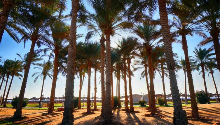 Bimbo morto a Sharm, il menù e le condizioni igieniche della struttura