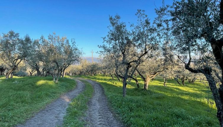 I Borghi delle due valli, alla scoperta del cuore dell’Umbria