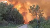 Francia, bruciano mille ettari di foresta nel sud della Gironda