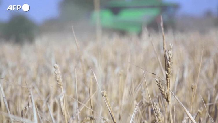 Caldo record alle porte, l'allarme siccita' si allarga