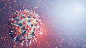 Omicron, nuova sottovariante Centaurus: le preoccupazioni dei virologi