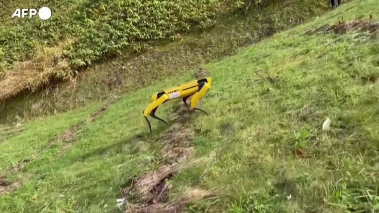 Il Giappone testa un cane robot: puo' essere utilizzato nel comparto forestale