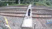 Inghilterra, bambini giocano sui binari della ferrovia mentre passa un treno