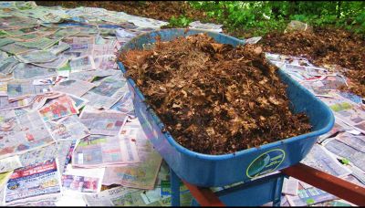 Il trucco per non far crescere erbacce in giardino