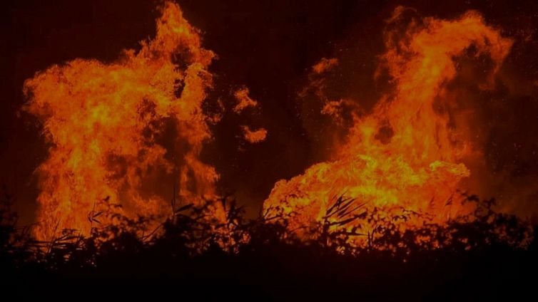 Incendi in Europa e caldo record: i costi dell'emergenza