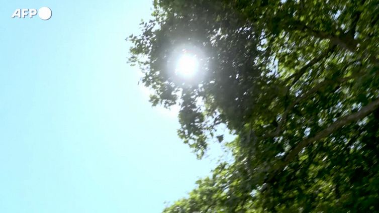 L'Europa boccheggia, in Gran Bretagna superati per la prima volta i 40 gradi