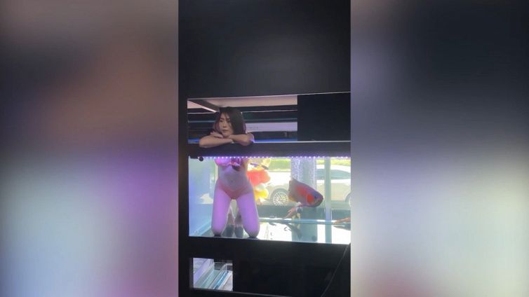 Modelle in bikini nel negozio di animali: scatta la polemica