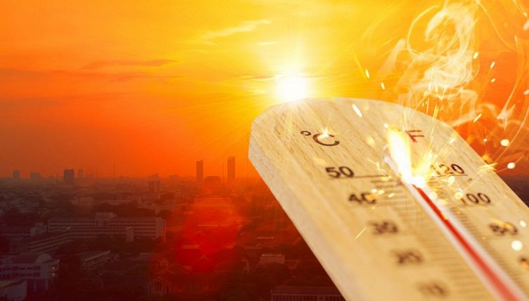 L’esperimento sul caldo: quando le alte temperature possono causare la morte