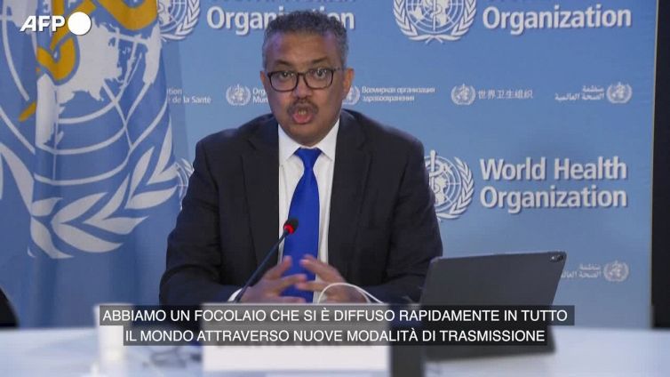 Vaiolo delle scimmie, l'Oms: "Emergenza sanitaria internazionale"