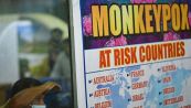 Vaiolo delle scimmie, per l'Oms è emergenza globale: la situazione