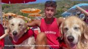 Salerno, affonda un pedalò: cani bagnini salvano cinque ragazzi